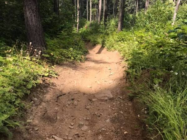 Hill training and why it’s so important for trail&nbsp;running